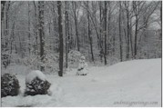 SNOWTREESqtr.jpg (8381 bytes)