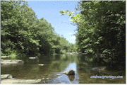 AGStream&treesqtr.gif (17400 bytes)